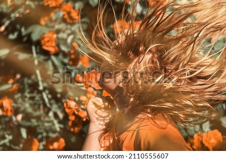 Similar – Image, Stock Photo Seen from the frog’s perspective: Lavender, poppy and curious woman