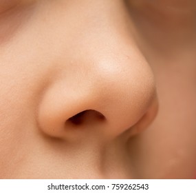 child's nose macro