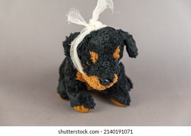 A Child's Toy With A Bandaged Head. A Black Stuffed Dog Against A Gray Background. Childhood Trauma Concept. Mental Health. Selective Focus.