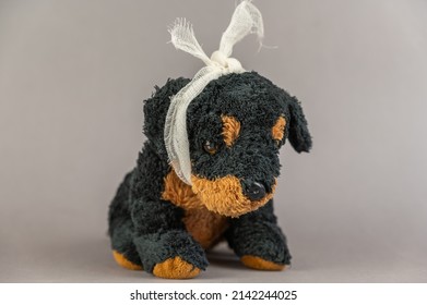 A Child's Toy With A Bandaged Head. A Black Stuffed Dog Against A Gray Background. Childhood Trauma Concept. Mental Health. Selective Focus.