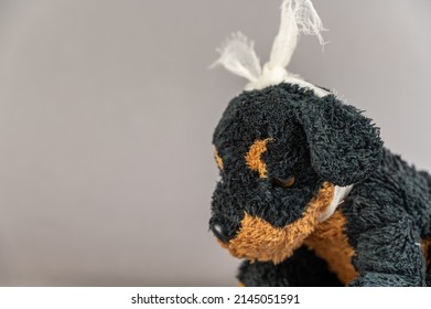 A Child's Toy With A Bandaged Head. A Black Stuffed Dog Against A Gray Background. Childhood Trauma Concept. Mental Health. Selective Focus.