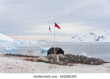 Antartica Chilena High Res Stock Images Shutterstock