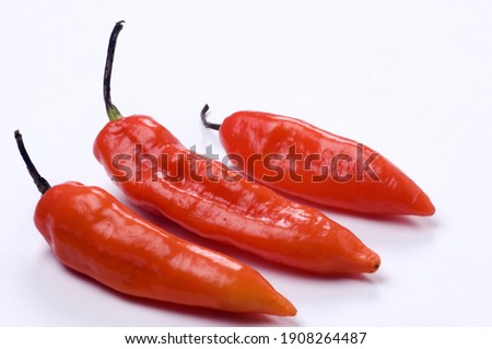 Chileans isolated on white background