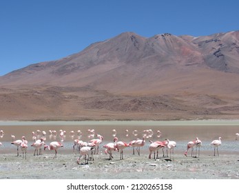 Chile's Atacama Desert, The Driest Nonpolar Desert On Earth, Stretches Across A Roughly 1000 Km Tract Of Land Wedged Between The Coastal Cordillera De La Costa Mountain Range And  The Andes Mountains.