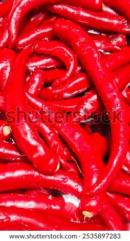 Chili is the basic ingredient to make every dish have a spicy flavor. The spicy taste in chili depends on Capsaicin, which is a bioactive substance in chili peppers.