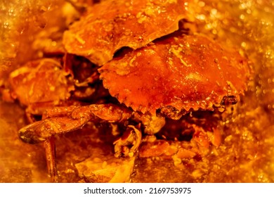 Chili Crab, Famous Southeast Asian Seafood Dish Originating From Singapore In The 1960s.