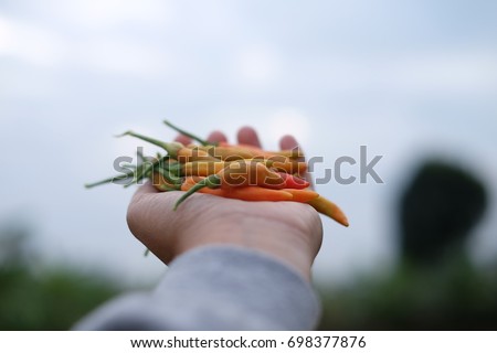 Chili in hand.