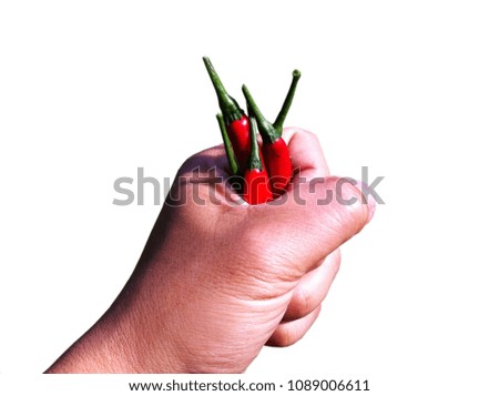 Similar – Image, Stock Photo Child holds two peppers