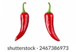 chili pepper isolated on a white background Clipping Path.