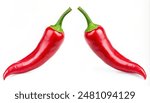 Chili pepper isolated on a white background Clipping Path.