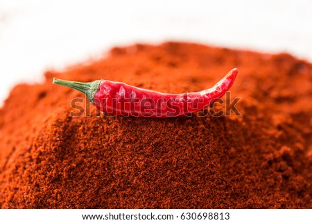 chili red hot pepper, concept of popular spice - delicious juicy pod of chili red pepper is isolated on top of red curry powder, ground dried idnian famous blend