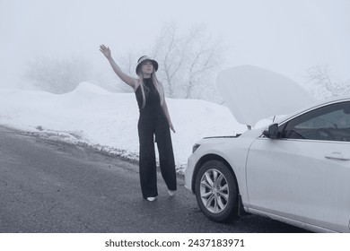In the chill of a foggy winter day, a woman stands beside her broken-down car, seeking help on a deserted snow-lined road.