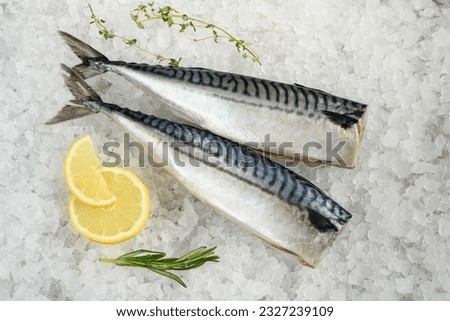 Chilled Mackerel fish
on natural ice