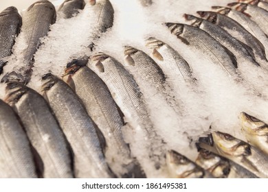 Chilled Raw Fish On Ice On The Counter. Top View. Healthy Eating. Close-up.