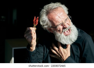 Chilli In The Hand Of An Good Looking Older Man Choking. Spicy Food.