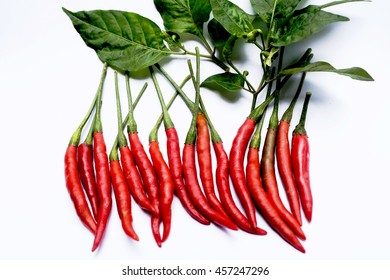 chilli white background 06 (selective focus) 