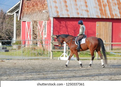 CHILLIWACK, BC/Canada - December 4, 2018: Profile View Of An Equestrian Rider And Her Horse As She Exercises Him In The Steeple Grounds In Chilliwack, BC, Canada On December 4, 2018.