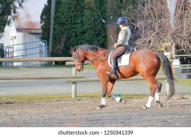 CHILLIWACK, BC/Canada - December 4, 2018: An Equestrian Female Rider And Her Thoroughbred Exercise In Private Steeple Grounds In Chilliwack, BC, Canada On December 4, 2018.