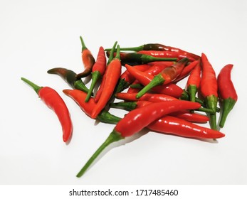 Chilly in the white background