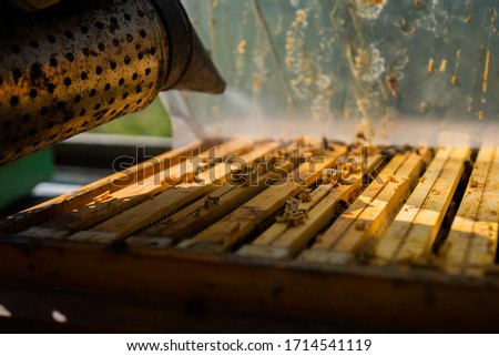 Similar – Image, Stock Photo Beekeeper smokes the beehive