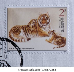 CHINA - CIRCA 2004:A Stamp Printed In China Shows Image Of   China 2004-19 South China Tiger Stamps - Animal,circa 2004