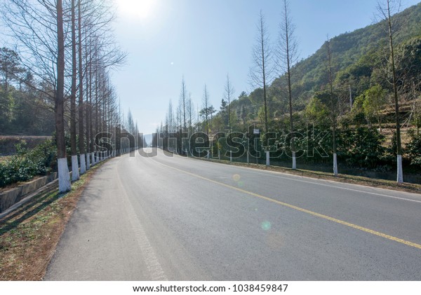 china forest\
roads