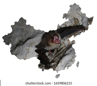 China Map With Angry Bat In Cave With Coronavirus 2019-ncov