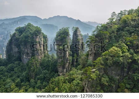 China nature landscape ( Zhangjiajie National Park )