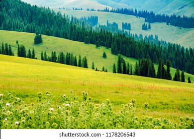 China Xinjiang Nalati Aerial Grassland