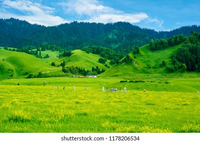 China Xinjiang Nalati Valley Grassland