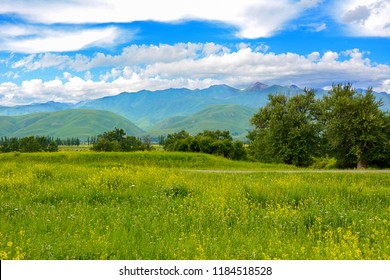 China Xinjiang Nalati Valley Grassland