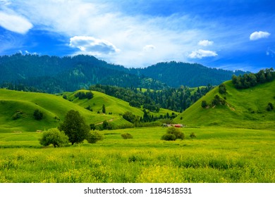 China Xinjiang Nalati Valley Grassland