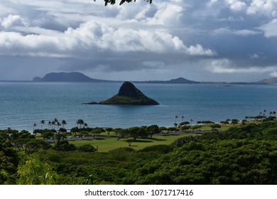 china mens hat in hawaii