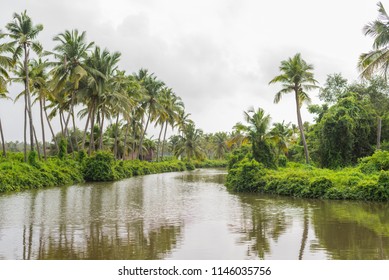 Chinchinim, Goa/India- July 29 2018: Manmade fish and prawn farming farms located in Goa which rear and breed fish and prawns/shrimps for local consumption and export - Shutterstock ID 1146035756