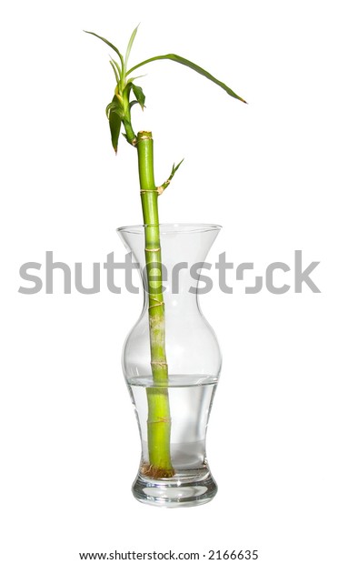 Chinese Bamboo Vase Stock Photo Edit Now 2166635