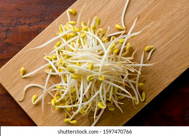 Chinese bean sprouts. Traditional Chinese, Japanese, Thai or Korean ingredients used in many cuisines, at many restaurants. 