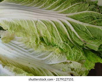 Chinese Cabbage. Chinese Cabbages On Sale In The Wet Market. Cabbage - Food Background