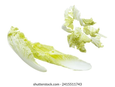 Chinese Cabbage fly in mid air, green fresh vegetable chinese cabbage falling leaf. Organic fresh vegetable with eaten leaf of chinese cabbage, close up texture. White background isolated freeze