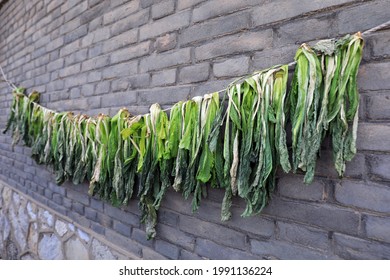 Chinese Cabbage On The Wall, North China