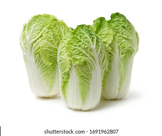 Chinese Cabbage On White Background 