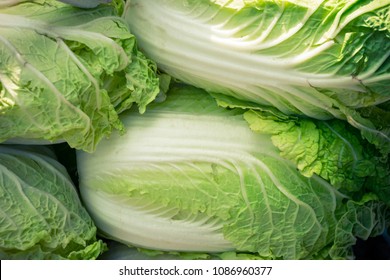 Chinese Cabbages On Sale In The Wet Market.