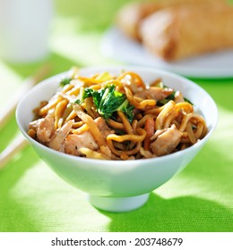 Chinese Chicken Lo Mein In A Bowl