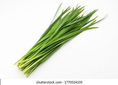 Chinese chive on white background - Shutterstock ID 1770524105