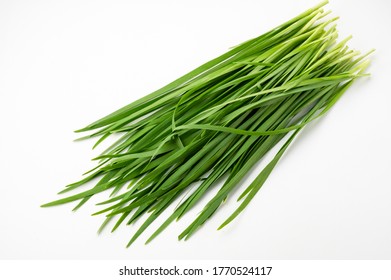 Chinese chive on white background - Shutterstock ID 1770524117