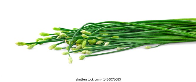 Chinese Chives Flower On White Background