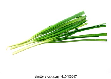 Chinese Chives, Garlic Chives, Kow Choi