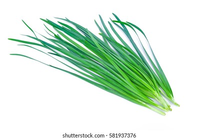 Chinese chives, Garlic chives, Kow Choi
