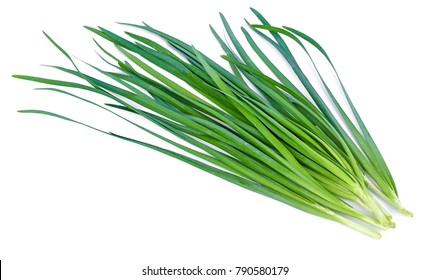 Chinese Chives, Garlic Chives, Kow Choi