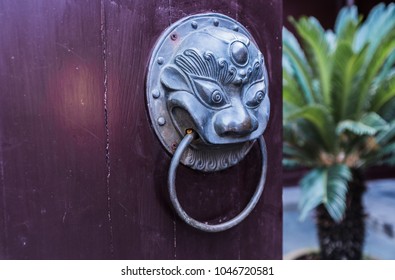 Similar Images Stock Photos Vectors Of The Human Skull In The