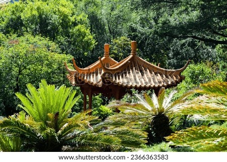 Chinese friendship garden scenery, NSW, Australia